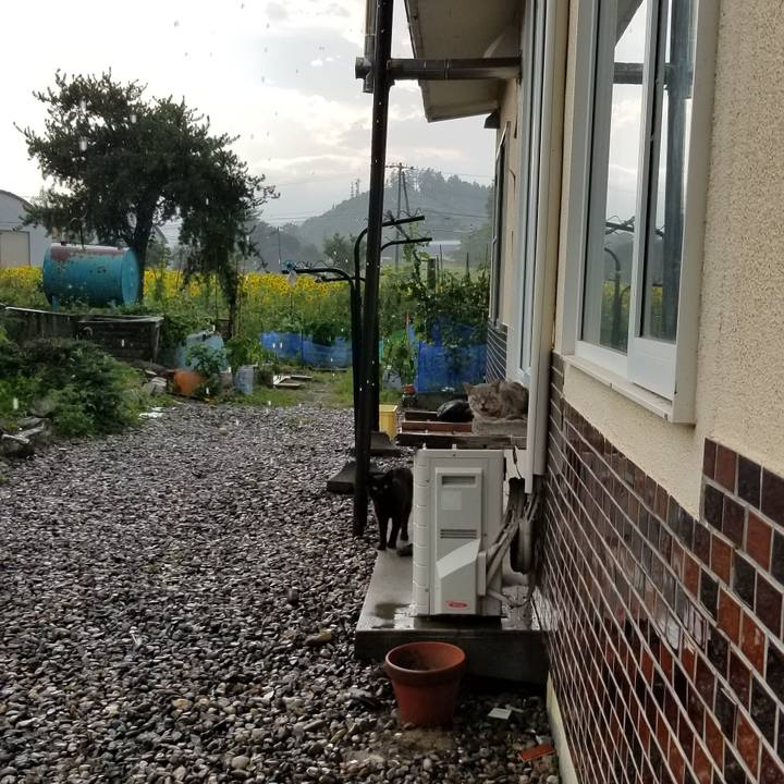 1b67b397 ef67 4a9f 8ccc 44d774b0b52d 1693091189060