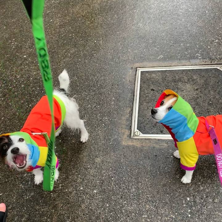 1b67c15c 905b 4dae 8237 4f58b836e77d 1624093039304