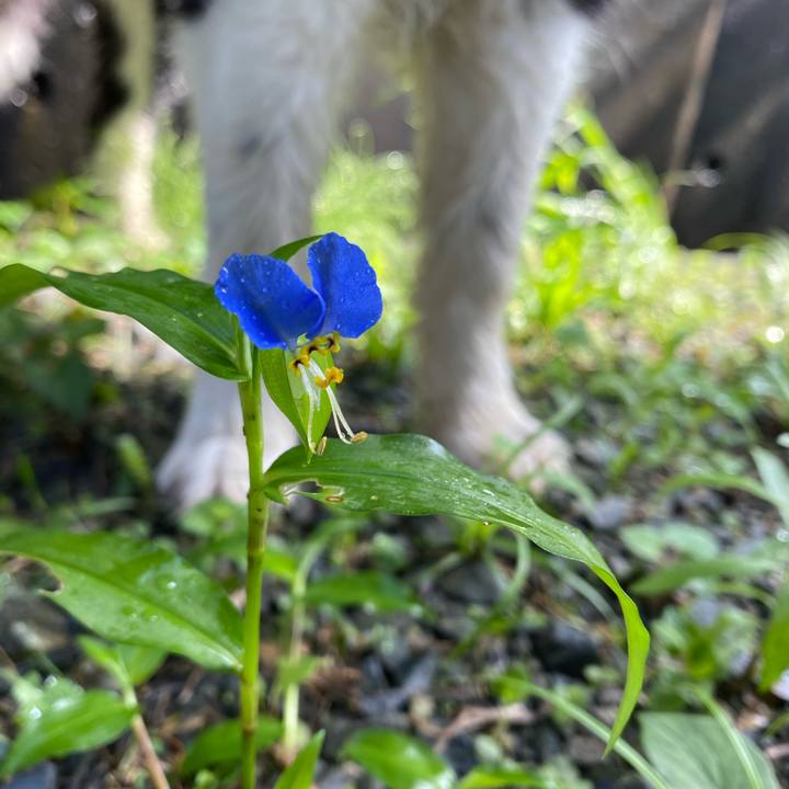 1b67d5c6 73bd 472b bb15 c1c95b4b9d89 1594169160086