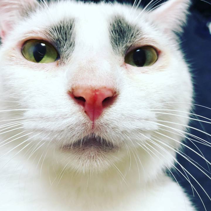 1b683ada a1f4 4e25 8f48 d77c261ed7d2 1509713580362