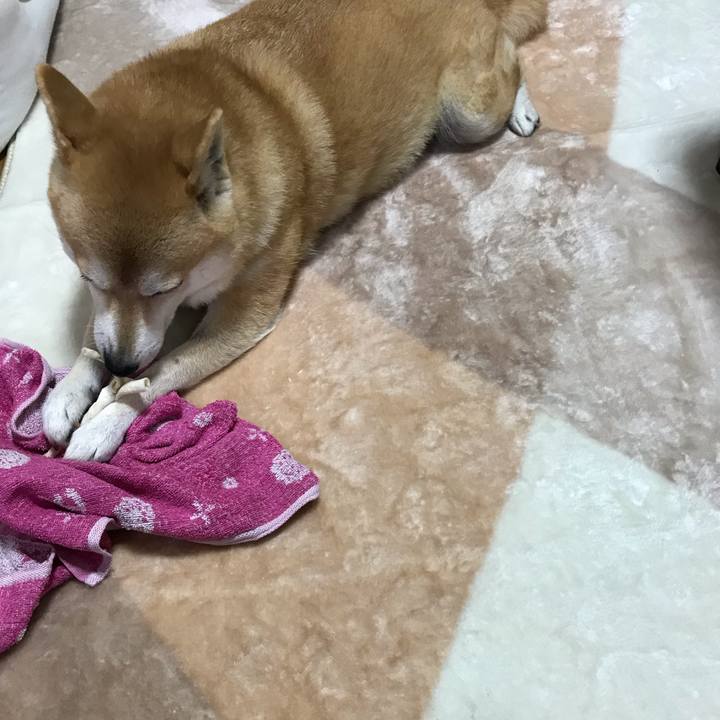 1b6884ee c01c 45c3 9222 e6556ffc89cc 1544702887707