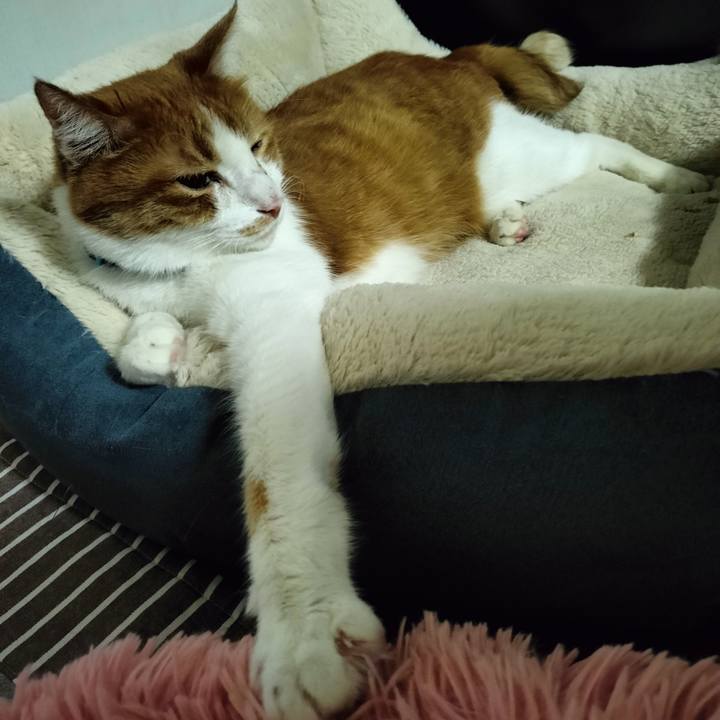 1b689f8e 8707 4657 95a2 8a586ec0e78b 1695679019352