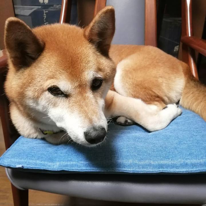 1b68d870 1467 4a6f 862d d45561ab1638 1657722945279