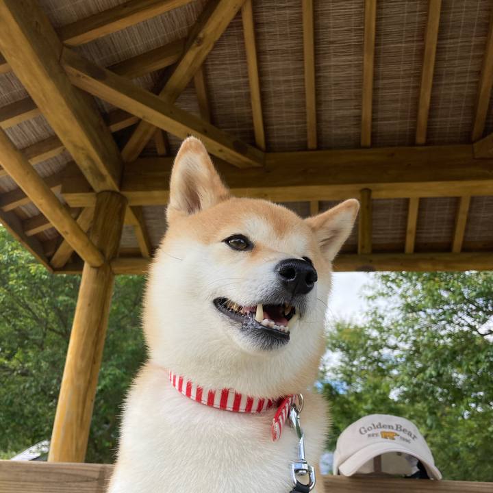 1b68e2b9 0606 4a47 994d f2fe791e1822 1654385717466