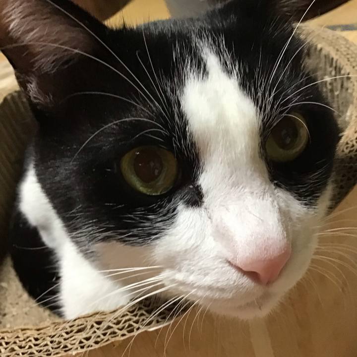 1b69070a eccb 4f0a 85b1 29c7ce45f606 1731576822232