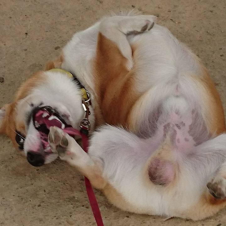 1b6933cc aad2 44c6 9f7c dab0dfc769f0 1569718109898