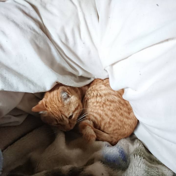 1b693a38 0d27 47a9 ba53 5338f1460c60 1650497805752