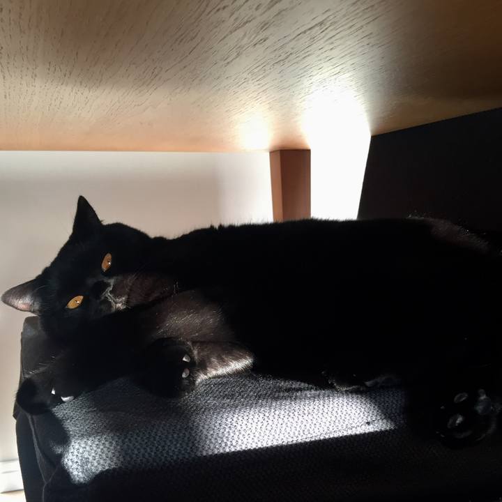 1b695e2f 710b 4aab 9a7a 3009fa1b93fc 1543042914350