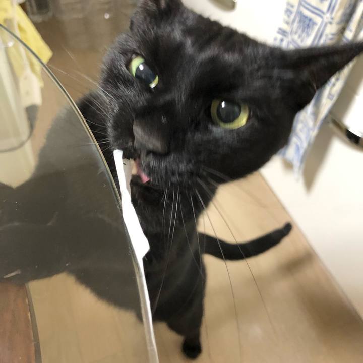 1b696214 4a22 4303 a896 c230140939e9 1638273897450