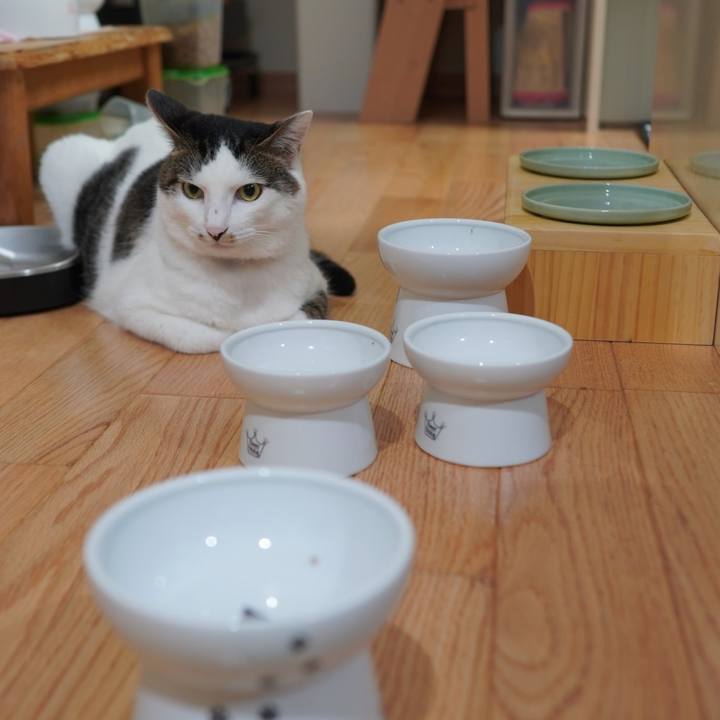 1b69676e 8e9c 40c8 be25 9610fe7c0fcd 1595771539036