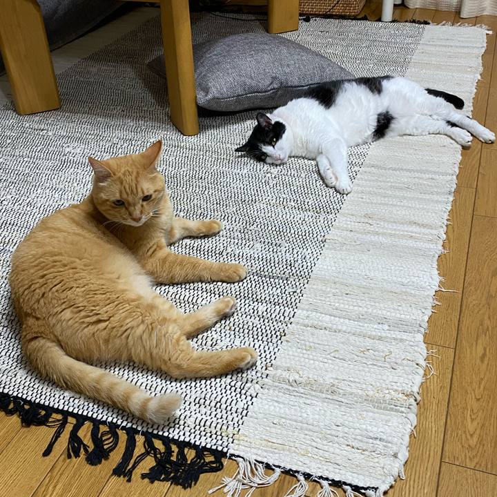 1b698227 4f9b 41ae a74e 80fa343ae55a 1628119483560