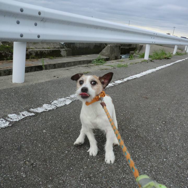 1b699721 d89b 405a a365 ea4c46de981b 1529647730864