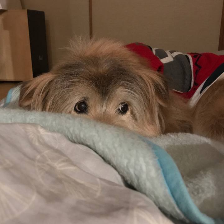 1b699776 900a 40e9 9c83 4417acc64b1c 1644620413888