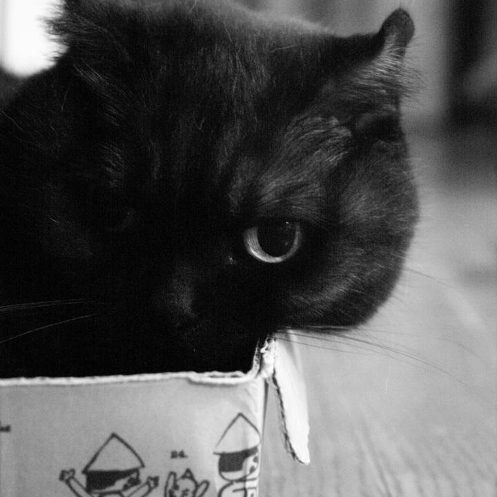 1b69ce7b 8144 4fd8 a377 aac29afc9030 1537458565102