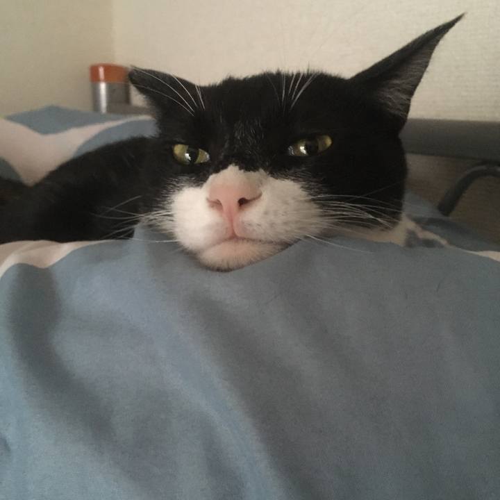 1b69d62c eb83 4cba aded d57a5683fe2c 1584168249923