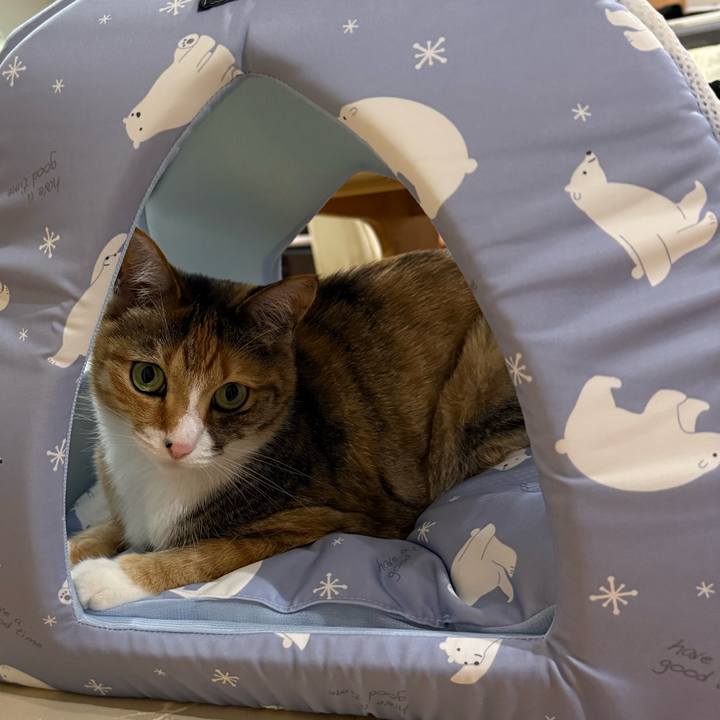 1b69df21 5be2 48fa b2ba 95264f59ff4d 1749374201258