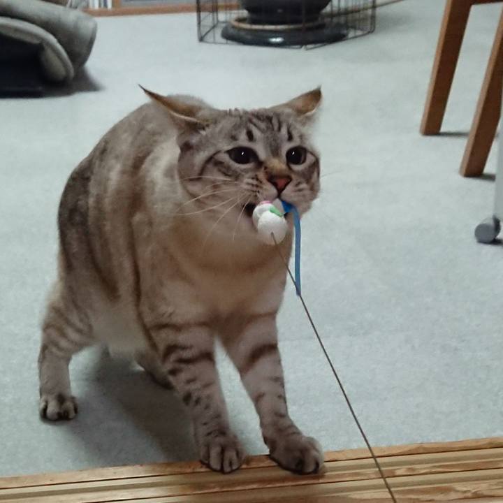 1b69e0a8 1f8d 4aae 8ffc a81c88e35955 1519041789679