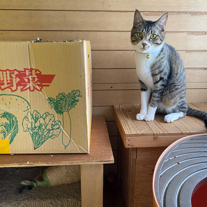 1b69e28f cbbb 4398 9620 05539d640d79 1652921375745