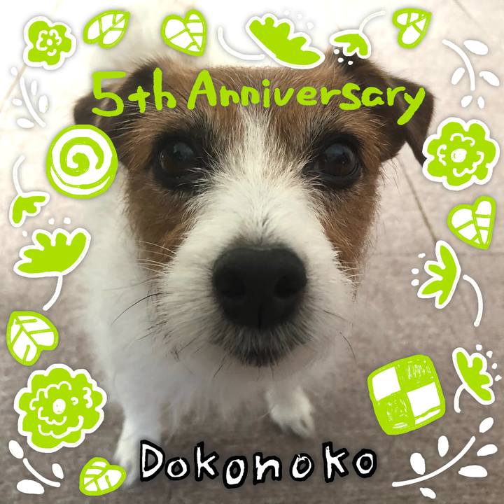 1b6a55f6 e3cd 488f 8dc1 e6b69b694ed3 1622903259962