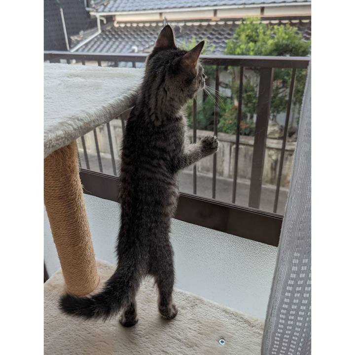 1b6a7519 9393 41b7 a829 4009456e0a78 1699768854865