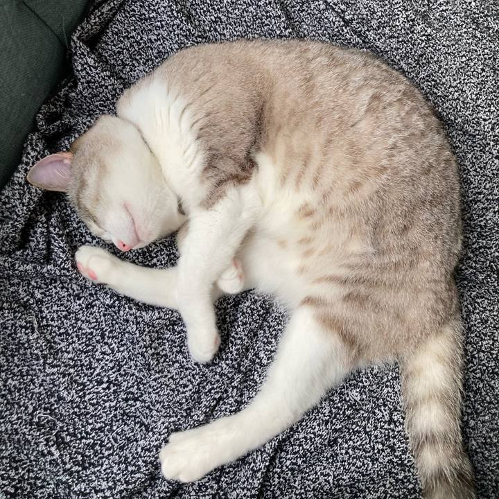 1b6a7624 f777 468b 8332 52affcb63488 1621131721921