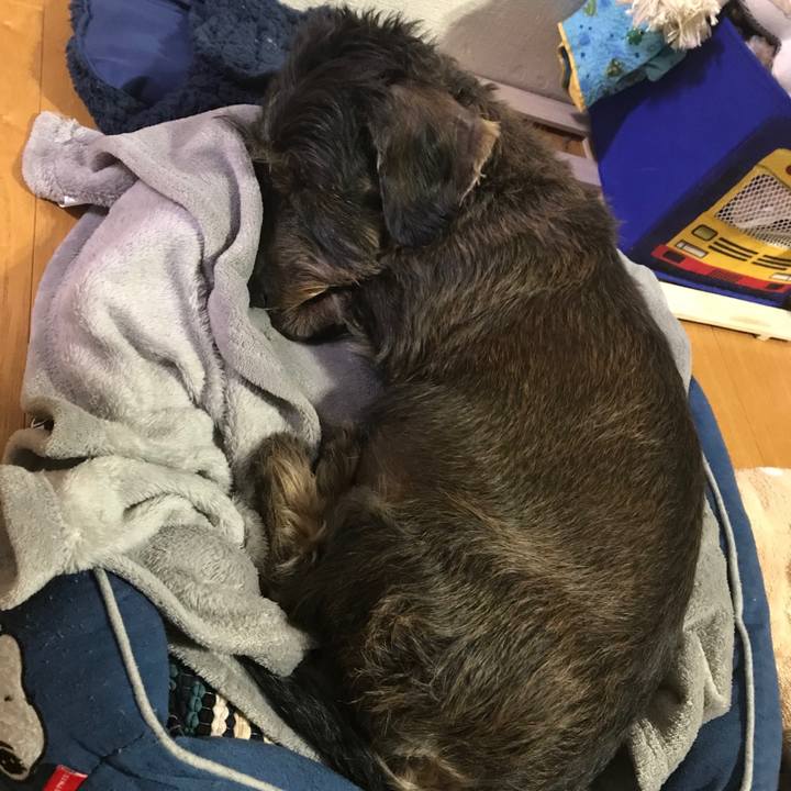 1b6acb4a 2f55 4a52 bd5e 73edc29b868f 1546361293572