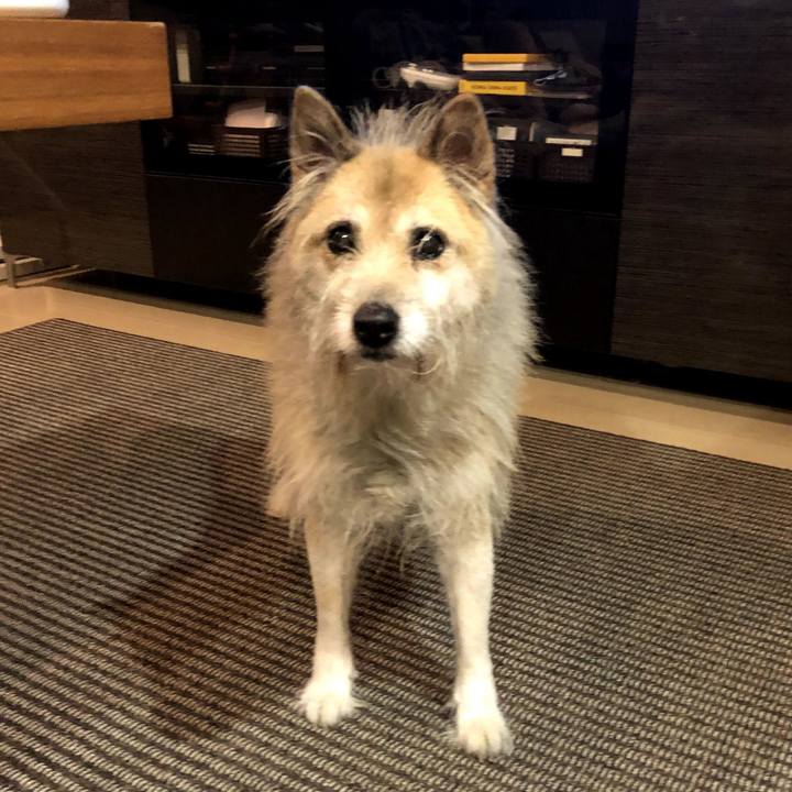 1b6b48f1 51c2 410d 92c7 f36ec9d4d504 1581132090203