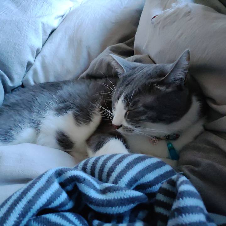 1b6b6e7a fff1 4e88 bc5d 1da011c055ff 1703559873080