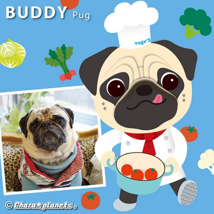 1b6b8fc1 229f 4b07 ba0e 7e813c2b7b62 1555561977050