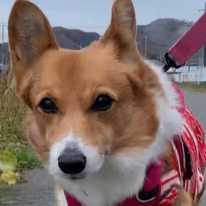 1b6beb36 28fc 4233 9ed0 4bb7aa71dcd6 1670207002192