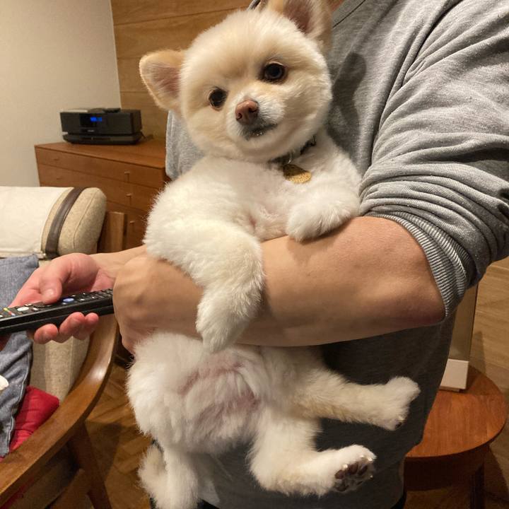 1b6c314a efbf 4050 940d 1459e5f9c2fa 1616588892809