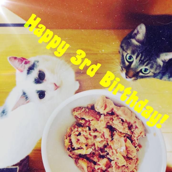 1b6c31e8 fa03 4e03 b8fc d860769fe1bb 1528892771784