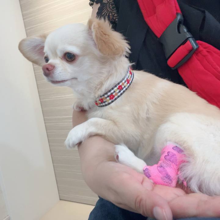 1b6c43d0 cd82 4077 9f62 cb72620a404d 1724459814016