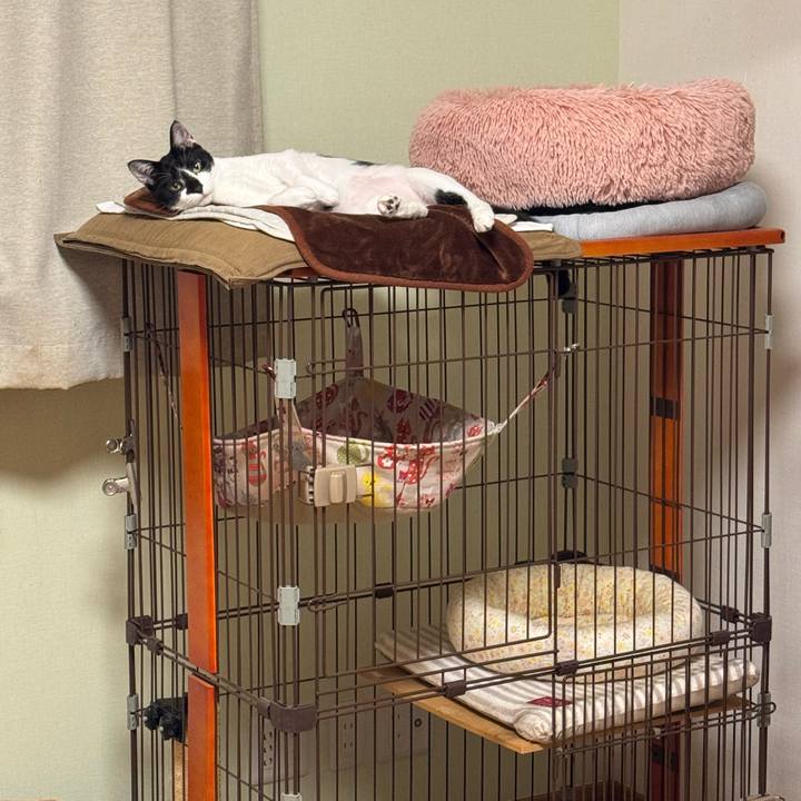 1b6c699f d631 4da6 8404 6a2791c559a3 1767790206440