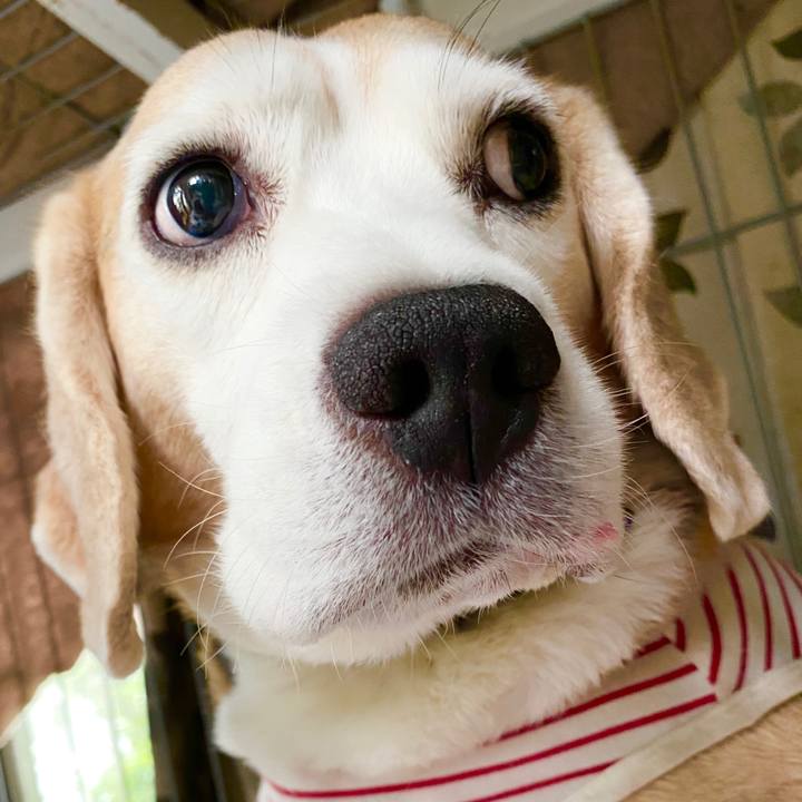 1b6c78a7 333d 489d 8894 4f19df36da67 1594613371899