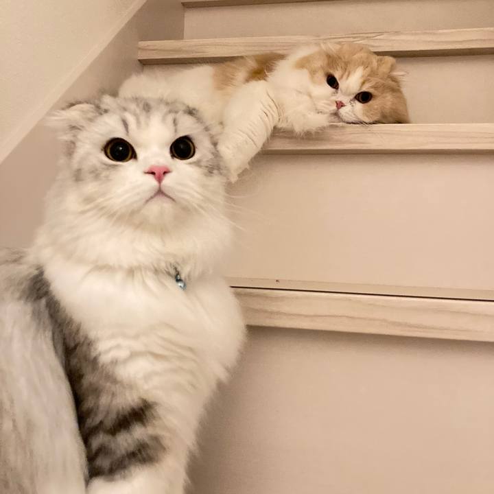 1b6c8bf3 f684 4969 957f c6fdeb41fb72 1617195727500