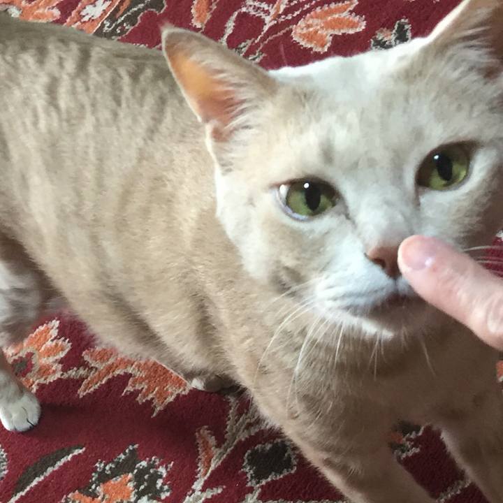 1b6c8e72 600b 470c b65b 67ef86a1e4d9 1591222870428