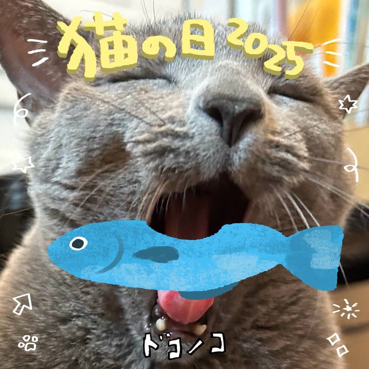 1b6cf07c 3994 46d9 829d 9d40276d1713 1740181557178