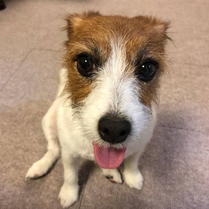 1b6cf8c9 3167 4c0a afcb d0f6feb3ffdc 1563018519621