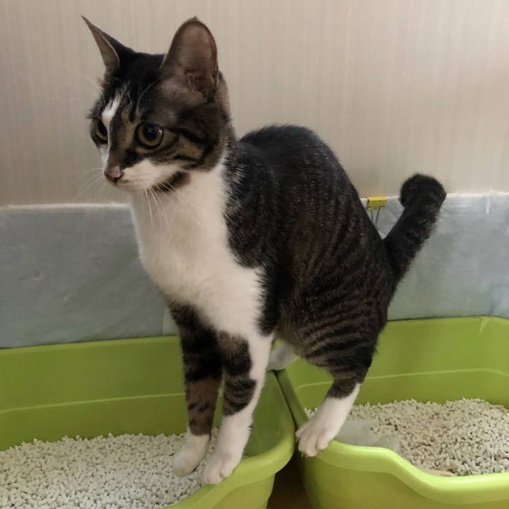 1b6d02f4 49b7 46b6 8df6 f5d31702d1f1 1555013020699