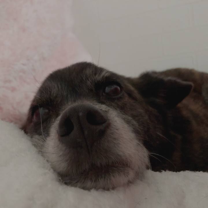 1b6d186d dec8 4c38 b6b5 8f72aab0fc0d 1613144498853