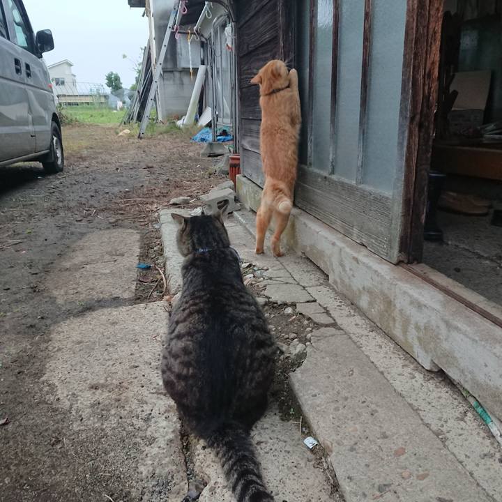 1b6d2254 878a 491c 9657 14a57efe7539 1658697580650