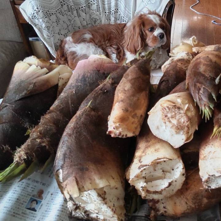 1b6d8d8e b682 416e 9dce 89a2b1ef4b6c 1745069194171