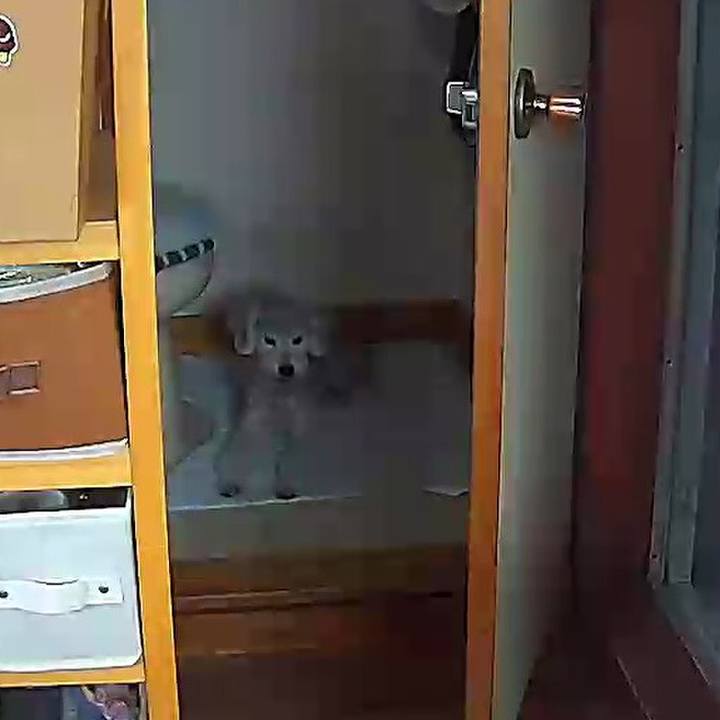 1b6d92d1 a905 4d04 beeb 3c00f6bba941 1627441034478