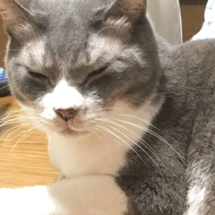 1b6db65d 4992 4e5a 89a7 73743a1a105b 1602657742940