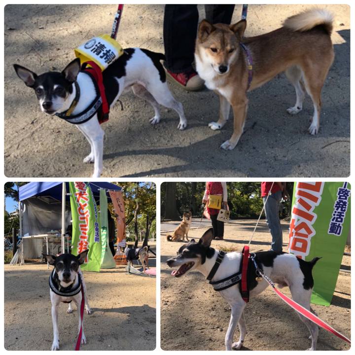 1b6db6ec f2f8 47f6 a061 65204648b53f 1540713619000