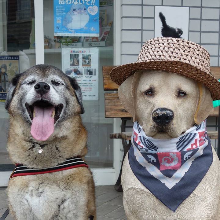 1b6dbcce d3d8 40cf a477 4c1c6de94484 1564274383129