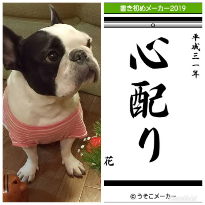 1b6dc456 0b68 4544 a0aa 2ec9a554c1cf 1546525035862