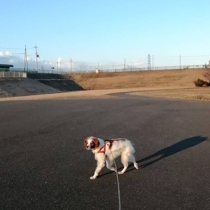 1b6dd0f0 f113 40d0 b1bf 3ba4a88cdbc1 1613606219619