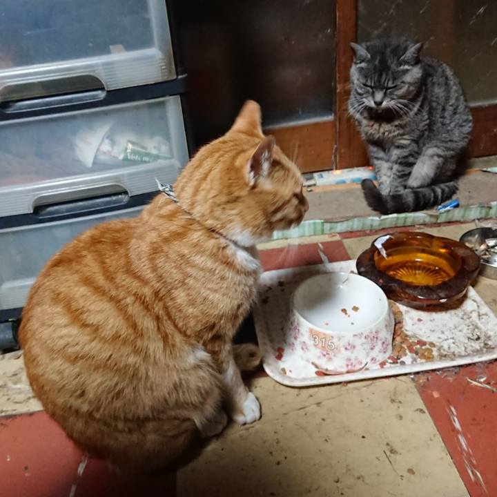 1b6e48a0 ffdf 4846 a77a 25b7ed164382 1572377945172